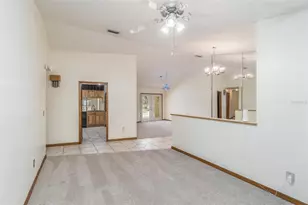 714 Pennyroyal Pl, Brandon, FL 33510 - Photo 17