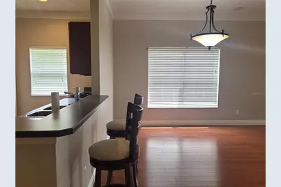 20722 Great Laurel Avenue, Tampa, FL 33647 - Photo 9