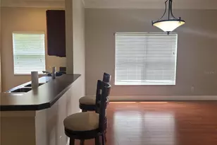 20722 Great Laurel Ave, Tampa, FL 33647 - Photo 9