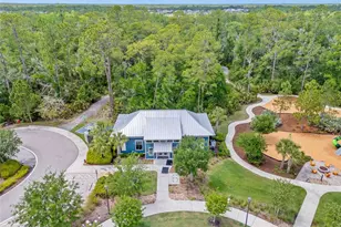 17842 Everlong Dr, Land O Lakes, FL 34638 - Photo 61
