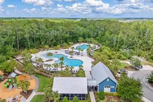 17842 Everlong Dr, Land O Lakes, FL 34638 - Photo 65