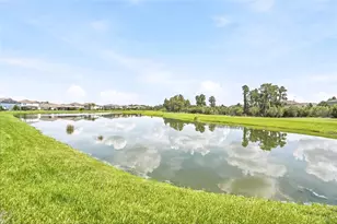17842 Everlong Dr, Land O Lakes, FL 34638 - Photo 53