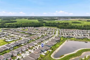 17842 Everlong Dr, Land O Lakes, FL 34638 - Photo 59