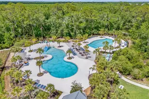 17842 Everlong Dr, Land O Lakes, FL 34638 - Photo 65