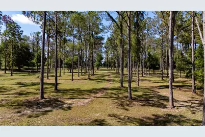 0 Reed Road, Dade City, FL 33523 - Photo 17