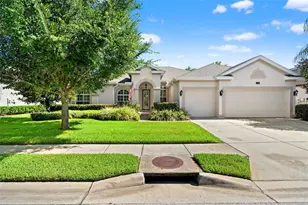 15103 Azra Dr, Odessa, FL 33556 - Photo 1