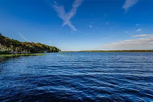 3097 Mission Grove Dr, Palm Harbor, FL 34684 - Photo 97