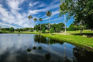 3097 Mission Grove Dr, Palm Harbor, FL 34684 - Photo 77