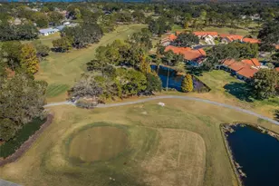 3097 Mission Grove Dr, Palm Harbor, FL 34684 - Photo 85