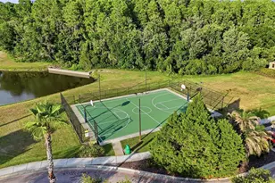 10711 Cory Lake Dr, Tampa, FL 33647 - Photo 57