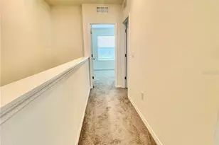 32557 Turtle Grace Loop, Wesley Chapel, FL 33545 - Photo 11