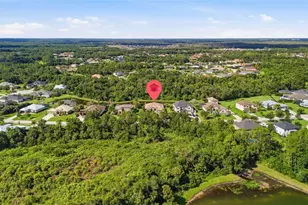 15809 31st St E, Parrish, FL 34219 - Photo 57