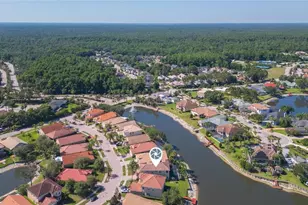 18018 Java Isle Dr, Tampa, FL 33647 - Photo 67