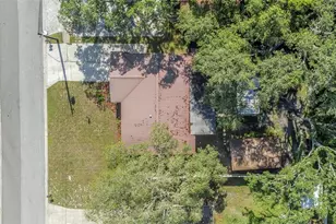 1412 Oakhaven Dr, Safety Harbor, FL 34695 - Photo 45