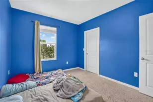 10231 Geese Trail Cir, Sun City Center, FL 33573 - Photo 25