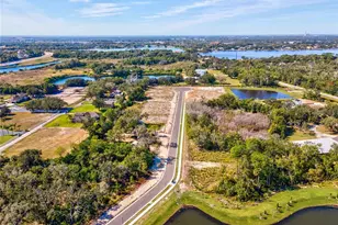 682 bottle brush way, Tarpon Springs, FL 34688 - Photo 9