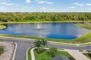 682 bottle brush way, Tarpon Springs, FL 34688 - Photo 7