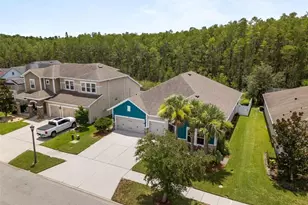 2902 Long Bow Way, Odessa, FL 33556 - Photo 9