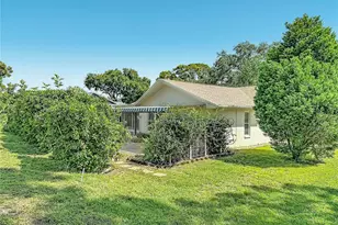 2632 Camille Dr, Palm Harbor, FL 34684 - Photo 51