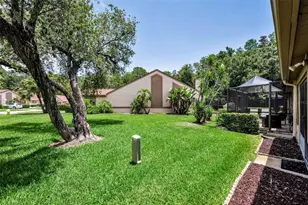 3477 Hillmoor Dr, Palm Harbor, FL 34685 - Photo 45