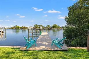 292 Sunlit Cove Dr NE, Saint Petersburg, FL 33702 - Photo 1