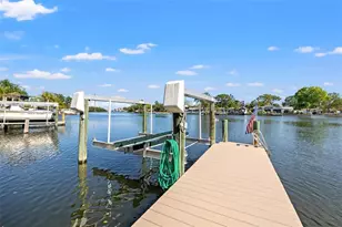 292 Sunlit Cove Dr NE, Saint Petersburg, FL 33702 - Photo 45