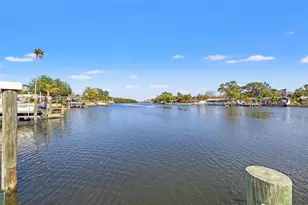 292 Sunlit Cove Dr NE, Saint Petersburg, FL 33702 - Photo 47