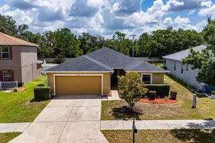 11018 Running Pine Dr, Riverview, FL 33569 - Photo 1