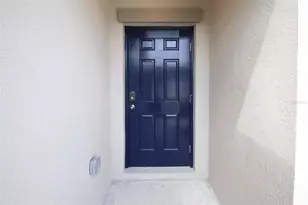 10347 Alder Green Dr, Riverview, FL 33578 - Photo 3