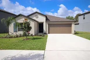 10347 Alder Green Dr, Riverview, FL 33578 - Photo 1