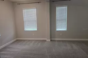 10072 Corso Milano Dr, Tampa, FL 33625 - Photo 53