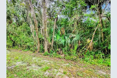 6265 Ashbury Palms Drive, Tampa, FL 33647 - Photo 77