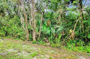 6265 Ashbury Palms Dr, Tampa, FL 33647 - Photo 77