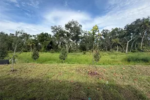 10858 Curving Creek Loop, Parrish, FL 34219 - Photo 5