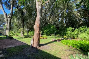 10542 San Travaso Dr, Tampa, FL 33647 - Photo 39