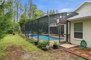 4 Milbark Dr, Homosassa, FL 34446 - Photo 41