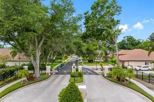 2103 Carroll Landing Dr, Tampa, FL 33612 - Photo 41