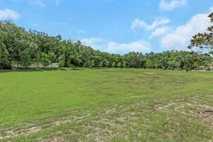 14203 Damselfly Dr, Tampa, FL 33625 - Photo 65