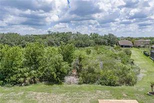 9114 Mountain Magnolia Dr, Riverview, FL 33578 - Photo 69