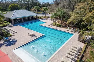 9114 Mountain Magnolia Dr, Riverview, FL 33578 - Photo 81