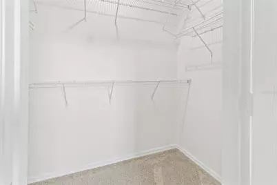 10044 Old Haven Way, Tampa, FL 33624 - Photo 19