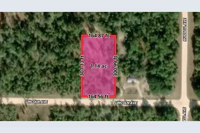 Lincoln Avenue, Alford, FL 32420 - Photo 3
