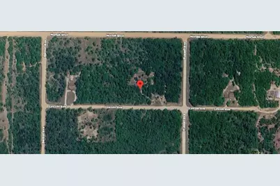 Lincoln Avenue, Alford, FL 32420 - Photo 5