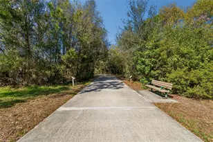 10687 Lake Montauk Dr, Riverview, FL 33578 - Photo 43