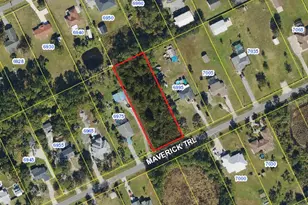 Maverick Trail, Saint Cloud, FL 34771 - Photo 1