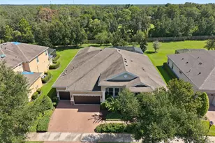 15512 Mossy Ridge Ln, Lithia, FL 33547 - Photo 51