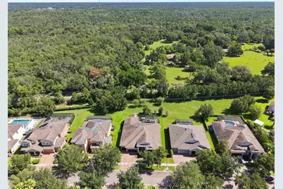 15512 Mossy Ridge Lane, Lithia, FL 33547 - Photo 53