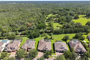 15512 Mossy Ridge Ln, Lithia, FL 33547 - Photo 53