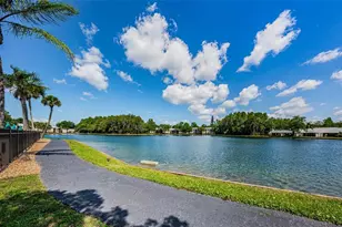 1333 Shady Pine Way, Tarpon Springs, FL 34688 - Photo 37