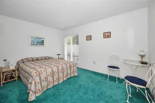 1333 Shady Pine Way, Tarpon Springs, FL 34688 - Photo 17
